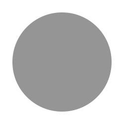 one-grey-circle